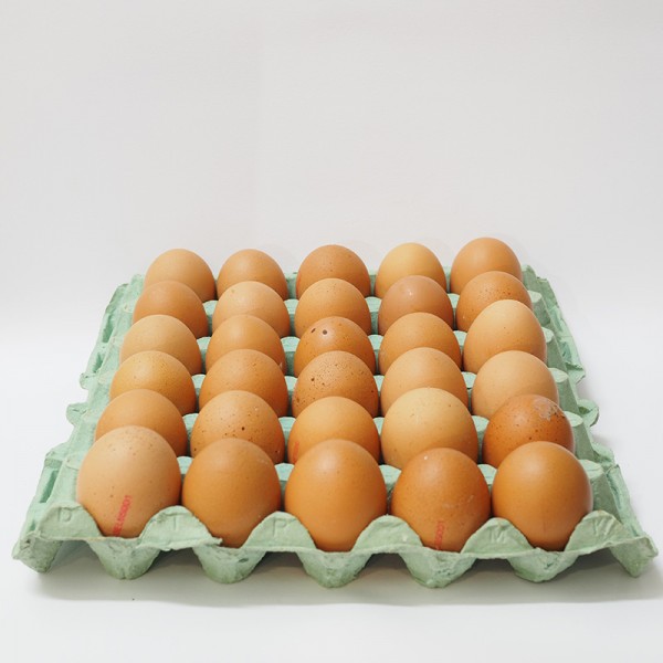Fresh eggs 6-pack